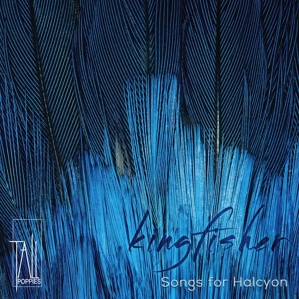 Kingfisher - Songs for Halcyon